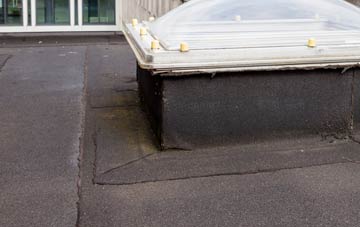 disadvantages of White Lackington flat roofs