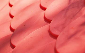 White Lackington plastic roof costs