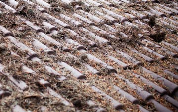 White Lackington roof cleaning companies