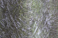 White Lackington fibreglass roof work